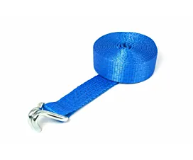 4T - Standaard Spanband - 4T - 8,5m - 50mm - 1-delig - Spitshaak - Blauw