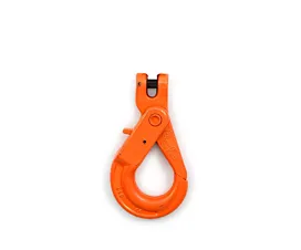 Toebehoren G10 Veiligheidsgaffelhaak G10